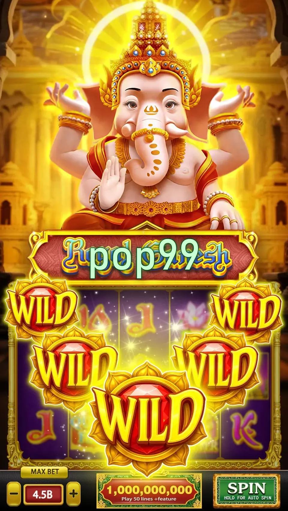 pop99 Login